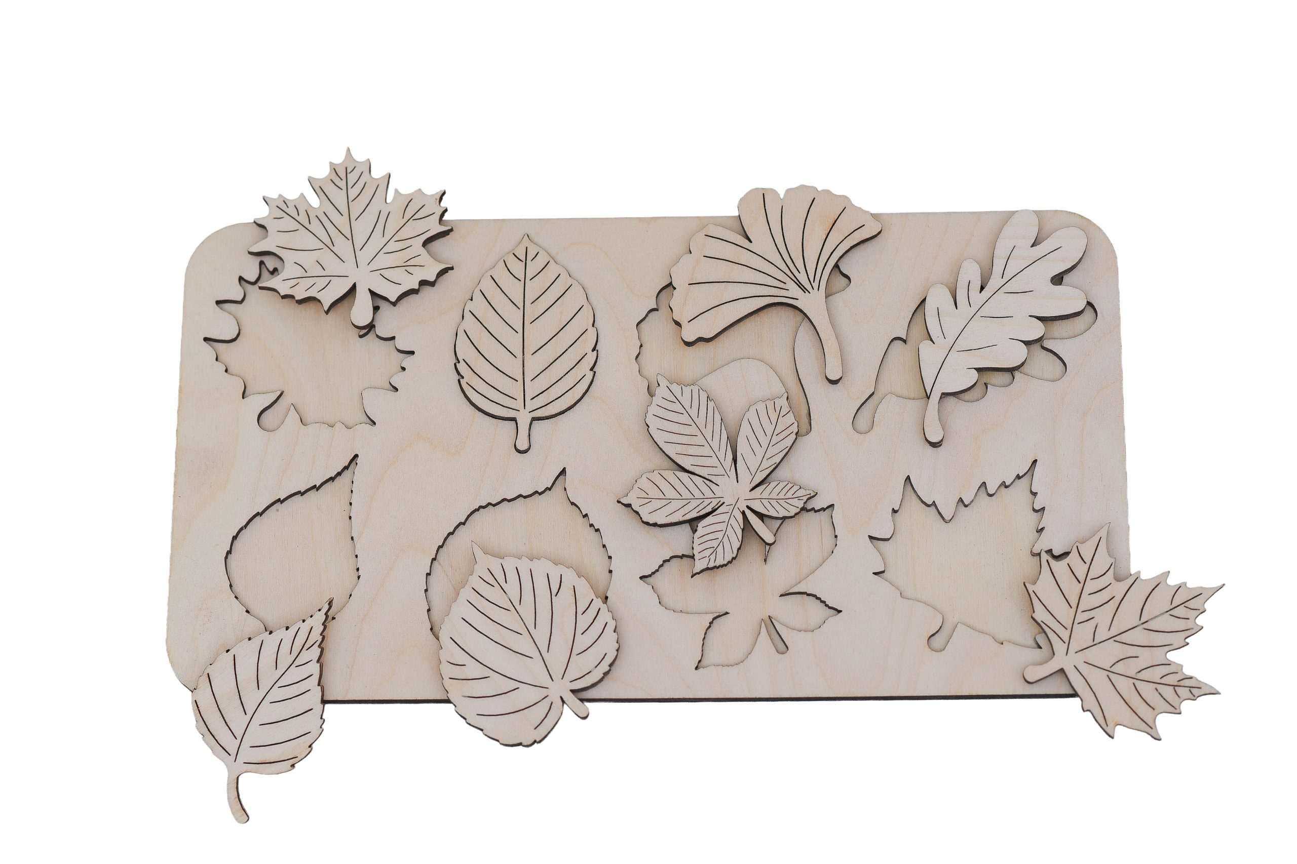 Listopadni svet (set 8) - Image 3